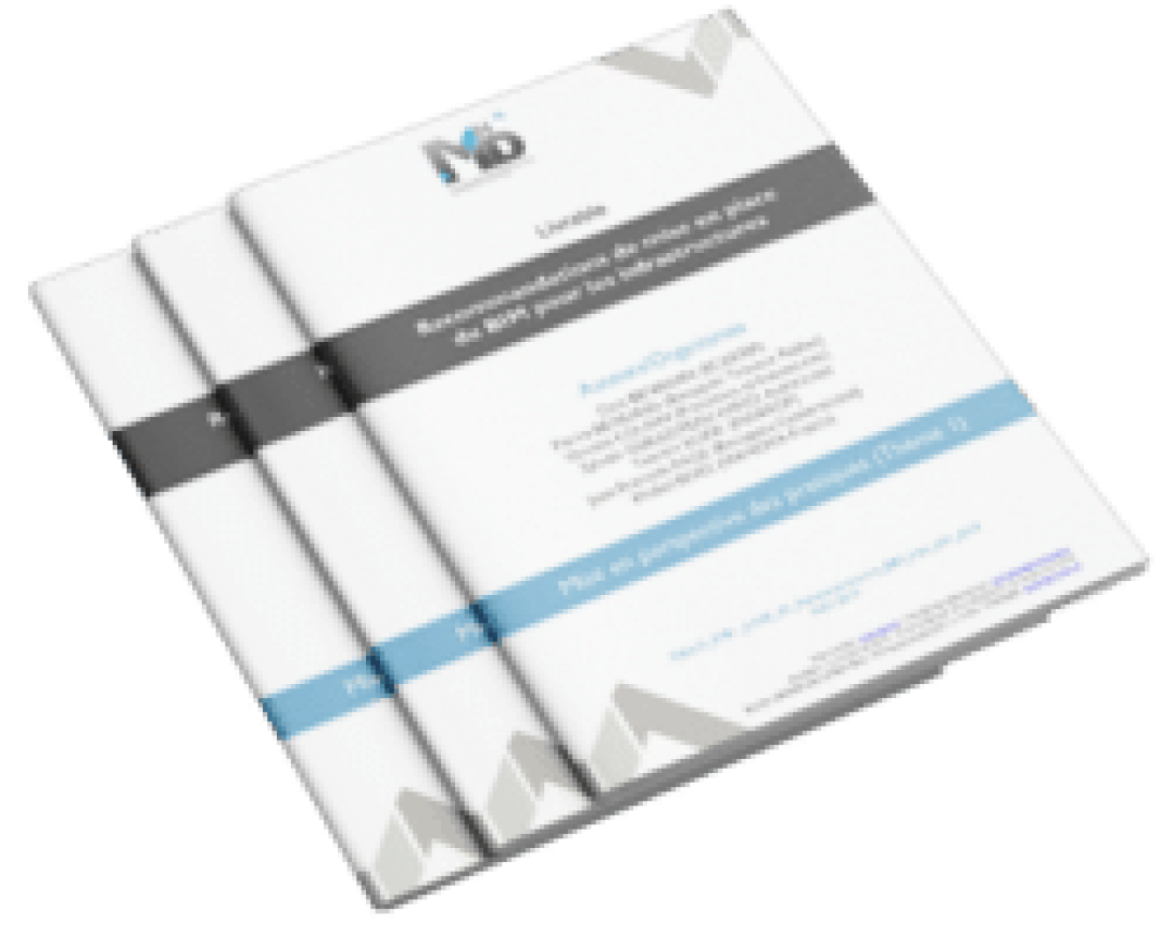 Le projet MINnD et Artecomm