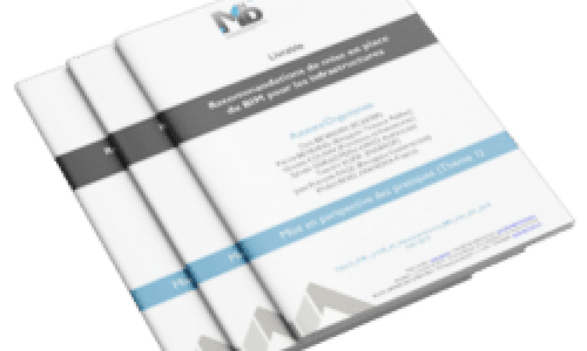 Le projet MINnd et Artecomm